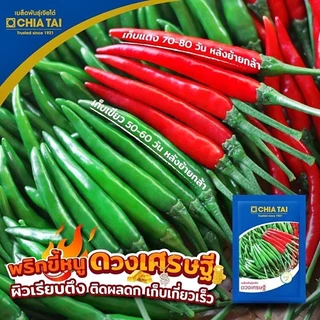 เมล็ดพริกขี้หนู ดวงเศรษฐี ขนาด1,000เมล็ด เมล็ดพันธุ์พริกขี้หนู พริกขี้หนูดวงเศรษฐี ตราเจียไต๋