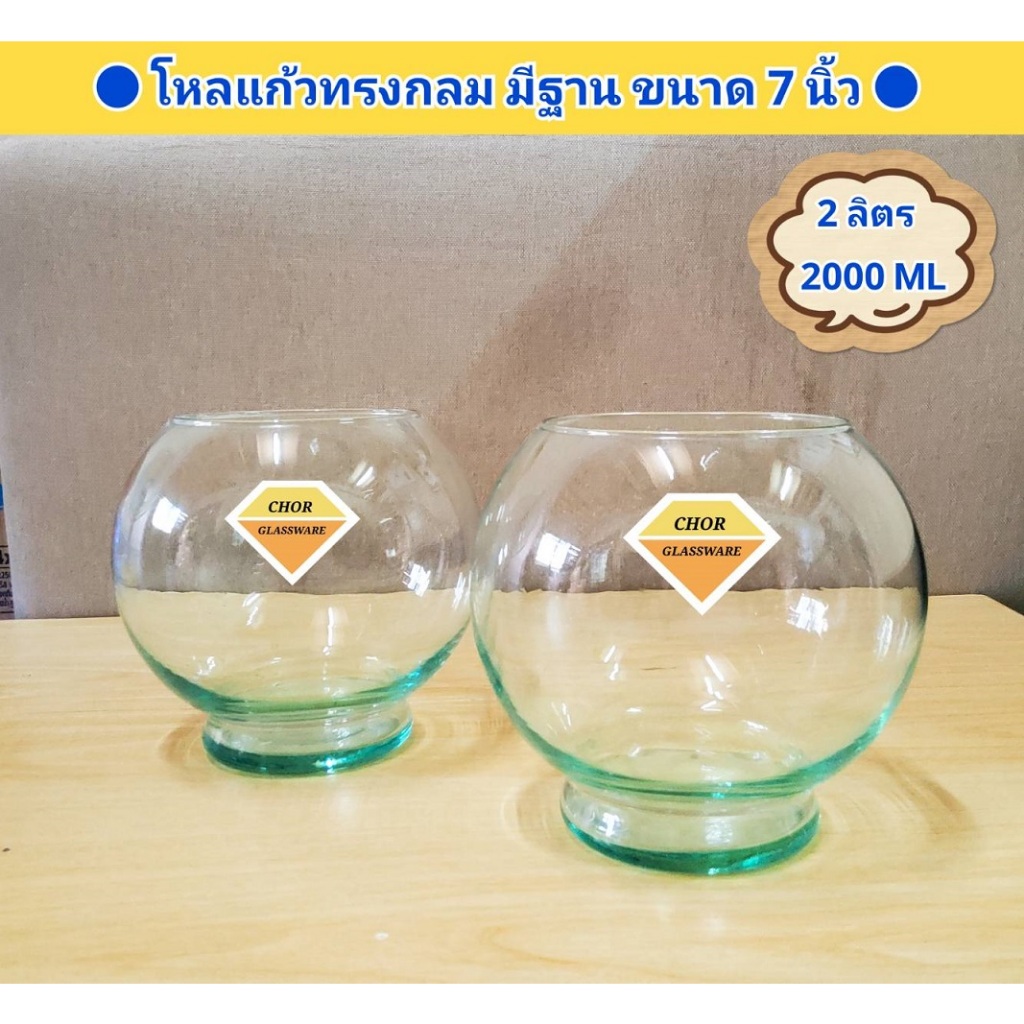 โหลแก้วทรงกลม 7 นิ้ว มีฐานน่ารัก จุน้ำ 2 ลิตร (พร้อมส่ง 2000 ML) สำหรับเลี้ยงปลา ปลูกต้นไม้ ใส่ไผ่กวนอิม ตกแต่งบ้าน /