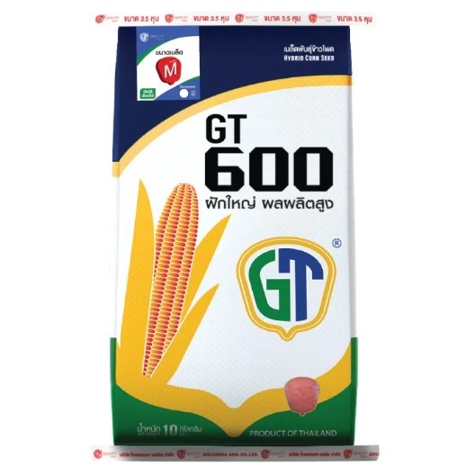 💥ใหม่💥เมล็ดข้าวโพดGT600 (3หุน -3.5 หุน) ขนาด10 กก.ฝักใหญ่ ยาว เปลือกหุ้มมิดผลผลิตสูง สีแล้วน้ำหนักดี