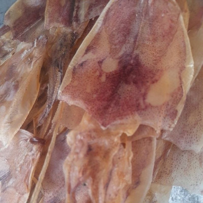 ปลาหมึกบางเสร่.(1โล)dried squid