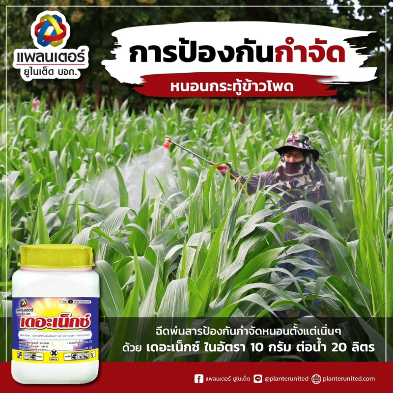 เดอะเน็กซ์ กำจัดหนอนทุกชนิด ใช้ได้ในทุกพืชผัก ข้าวโพด ไม้ดอก ไม้ประดับ - รูปที่ 2