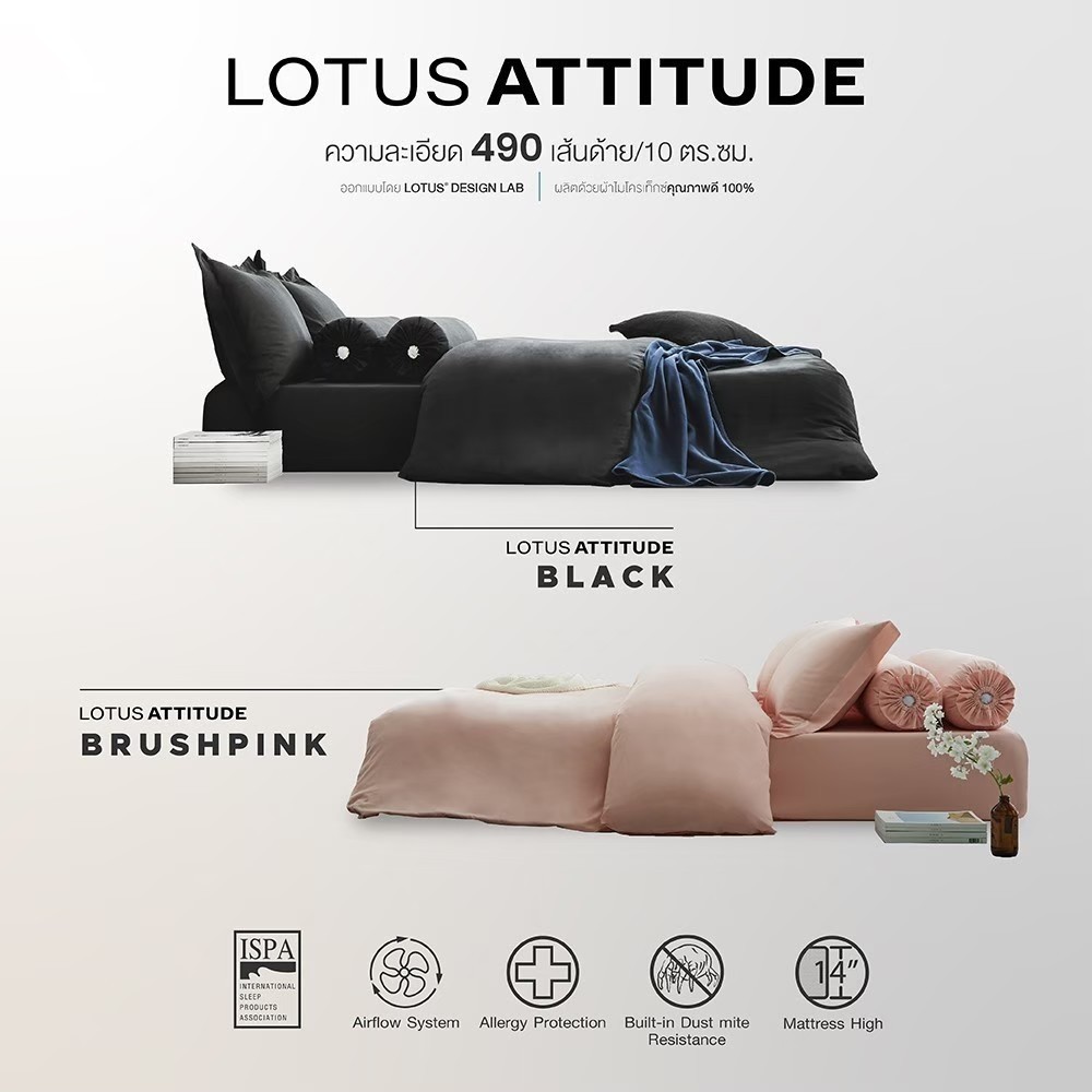 Lotus&gt;&gt;ชุดผ้าปูที่นอน+นวม โลตัส รุ่น ATTITUDE ทอ 490เส้นด้าย นุ่มและสบายผิวสัมผัส ซักง่าย แห้งเร็ว กันไรฝุ่น