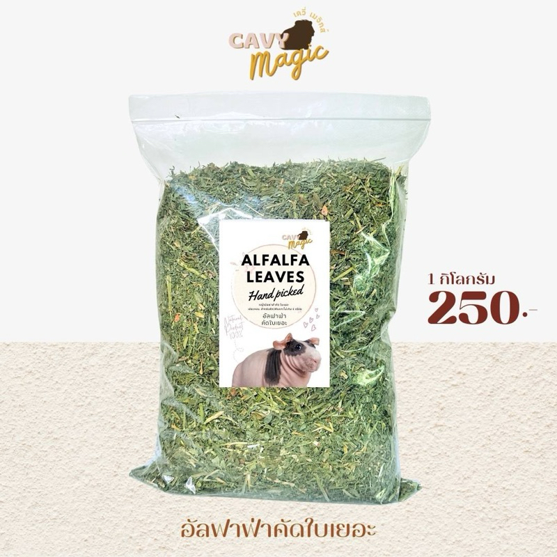 อัลฟาฟ่าใบพรีเมียม คัดใบ ร่อนฝุ่นแล้ว นำเข้าจากอเมริกา