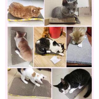 🐱ราคาถูก ที่ลับเล็บ แมว โซฟาที่ลับเล็บ กระดาษลูกฟูก แบบ 2 ด้าน แถมฟรีกัญชาแมว