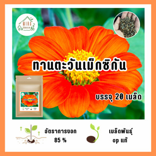 เมล็ดพันธุ์ทานตะวันเม็กซิกัน บรรจุ 20  เมล็ด