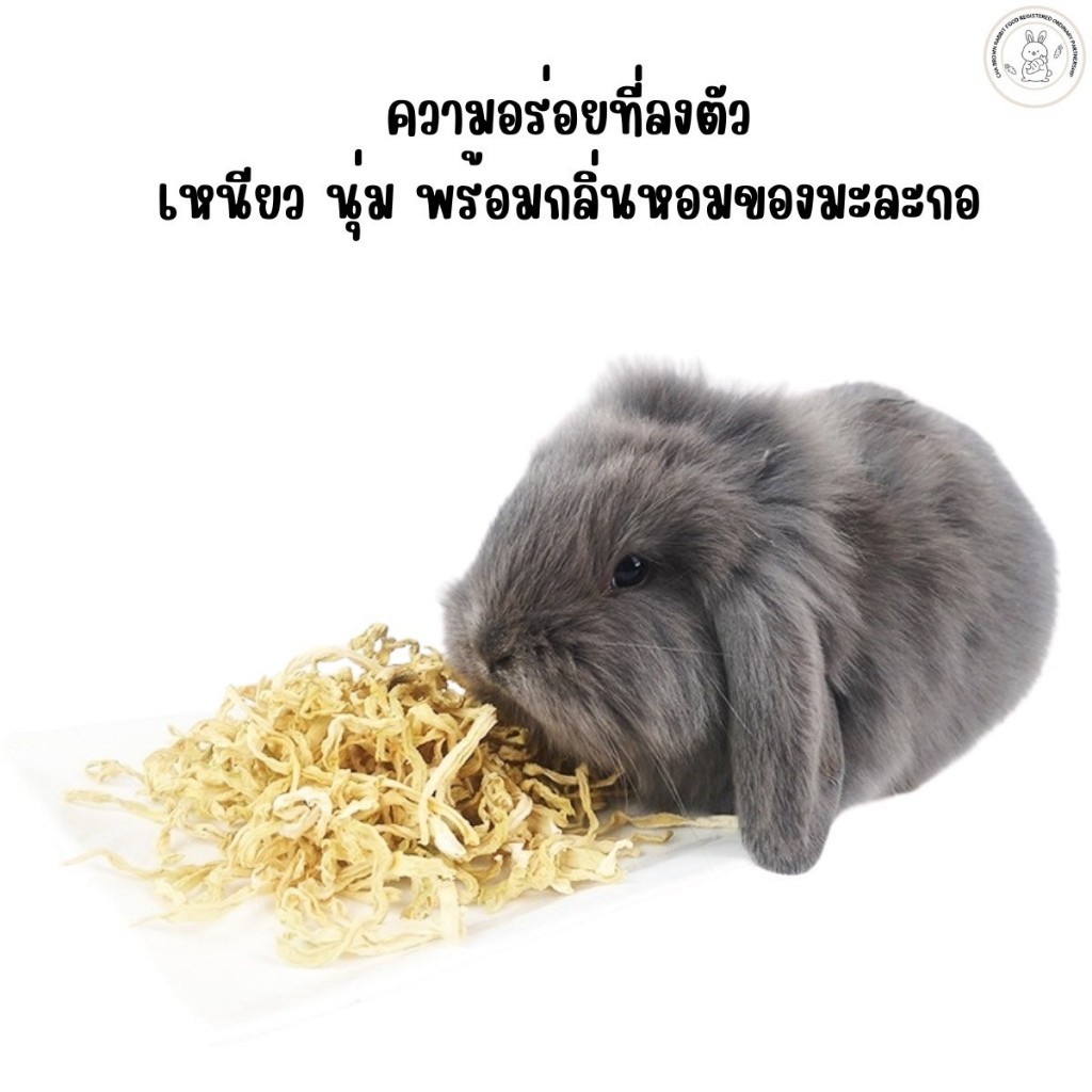 (Dried Papaya Silk ไหมมะละกออบแห้ง 60กรัม) ผลไม้อบแห้งขนมสำหรับสัตว์เลี้ยงขนาดเล็ก ราคา ถูกที่สุด ดีลบีเคเค แกลเลอรีภาพที่ 2
