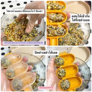 ที่ทำซูชิ (ที่ทำข้าวบอล) เรื่องของลูกแชร์กันได้ DIY คละสีไป
