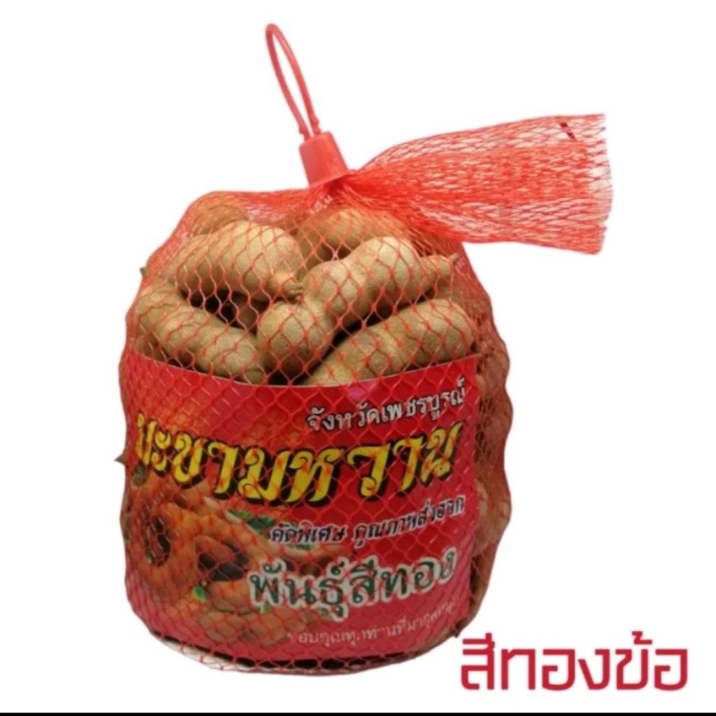 มะขามหวานพันธุ์สีทอง/ประกายทอง