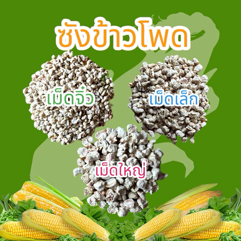 ZC PET ซังข้าวโพด รองกรงสัตว์เลี้ยง 1000g