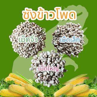 [ZC PET] ซังข้าวโพด รองกรงสำหรับสัตว์เลี้ยง ขนาด 1000 g.[สะอาด ร่อนฝุ่น]