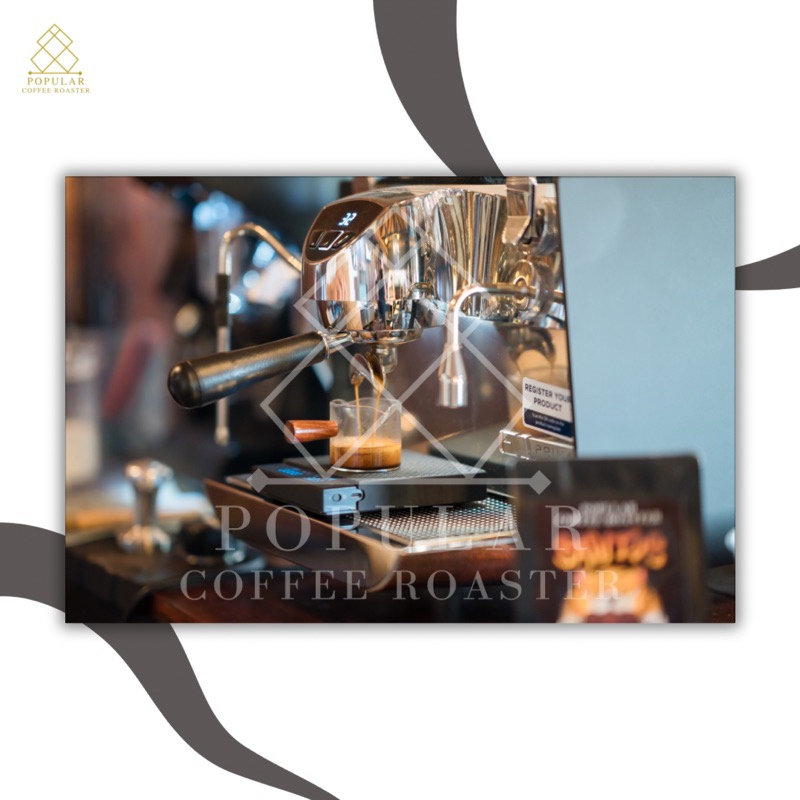 Popular Coffee Roaster เมล็ดกาแฟคั่ว Paksong Laos รูปที่ 4