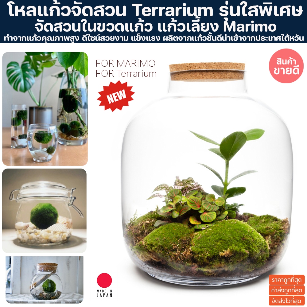 ขวดโหล ผลิตจากแก้วชั้นดี ใสพิเศษ คุณภาพสูง จัดสวนขวดแก้ว ขวด marimo Terrarium สวนถาด เทอทาเรียม