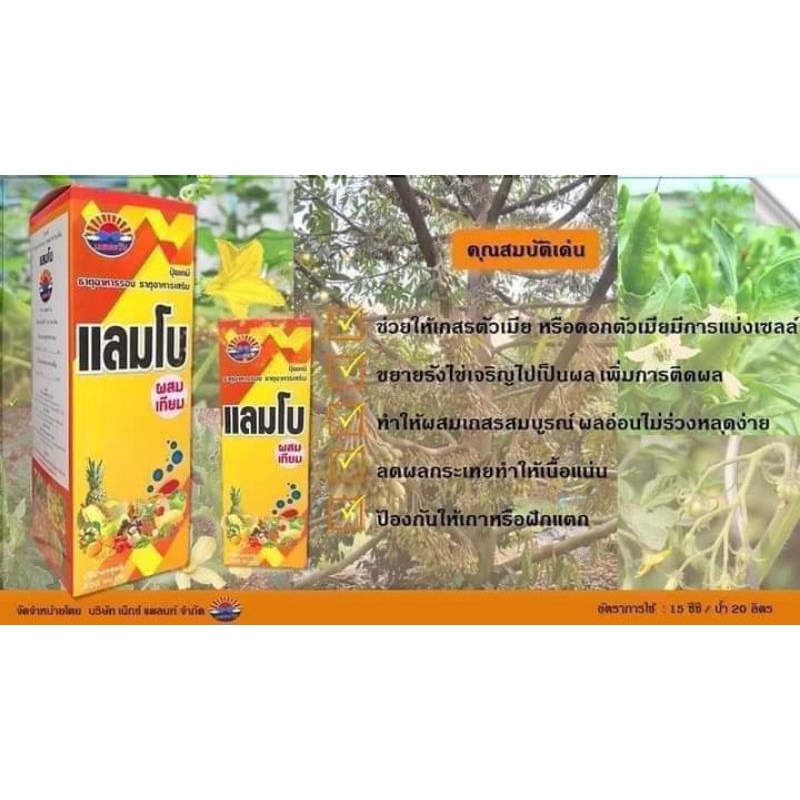 ผสมเทียม(แลมโบ) ขนาด 1 ลิตร