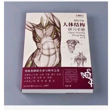 พรีออเดอร์​30​วัน​ "คู่มือการศึกษาโครงสร้างร่างกายมนุษย์ของ Zhang Wangหนังสือ​สอนวาด​ Anatomy อย่างละเอียด​