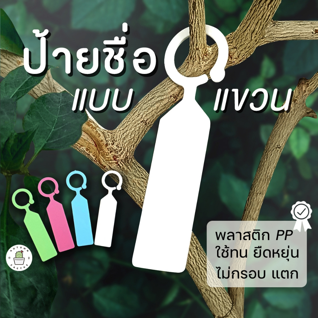 ป้ายแท๊กต้นไม้ สำหรับเขียนชื่อต้นไม้ แบบแขวน หรือ คล้อง กับต้นไม้ แพ๊ค20ชิ้น และ แพ๊ค100ชิ้น (แบบแขวน)