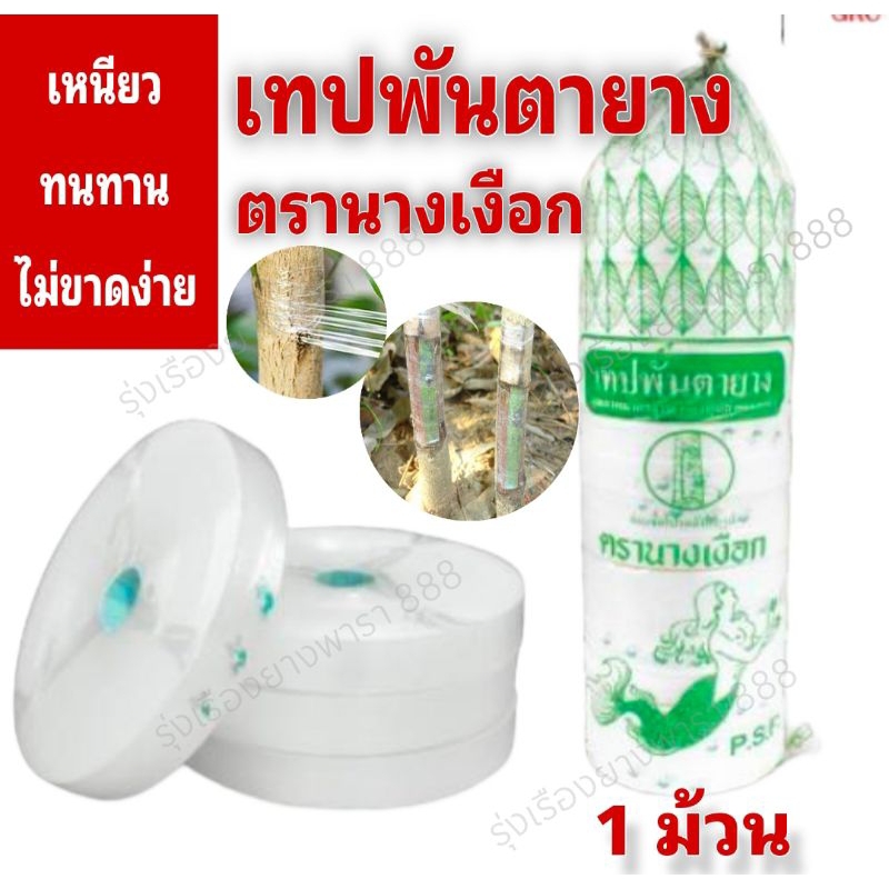 เทปพันตายาง ตรานางเงือก 1 ม้วน สำหรับใช้ติดตา พันกิ่ง เหนียวมาก (1 ม้วน)