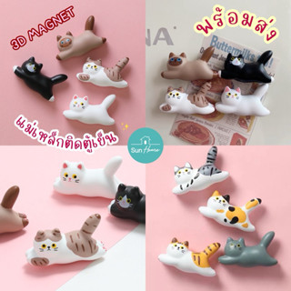 แม่เหล็กติดตู้เย็น 🐈 3D Magnet รูปแมว พร้อมส่ง จากไทย