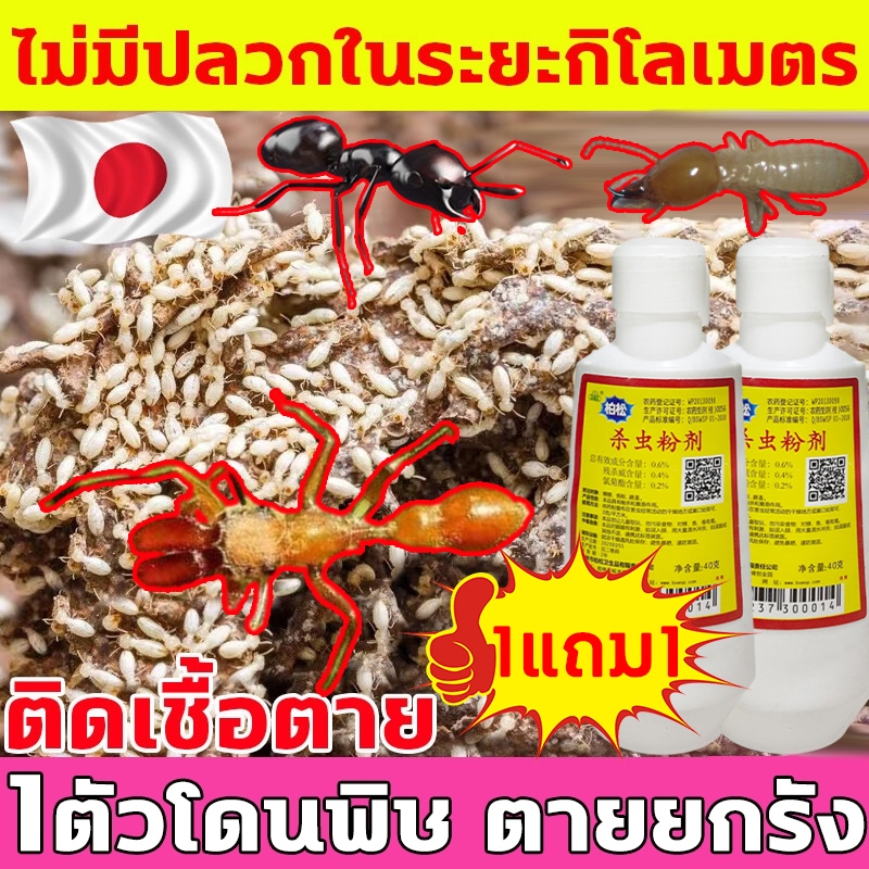 ใช้1ครั้ง 50ปีไม่มีปลวก ยากําจัดปลวกตายยกรัง ยาฆ่าปลวก กําจัดปลวกตายยกรัง ได้ผล 100 ยากำจัดปลวก ยาฆ่ามด