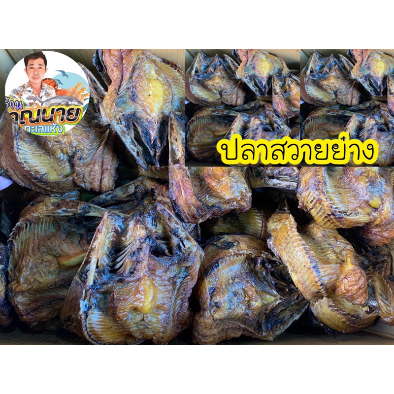 ปลาสวายย่าง ผลิตใหม่ส่งตรงจากโรงงานผลิต 500กรัม