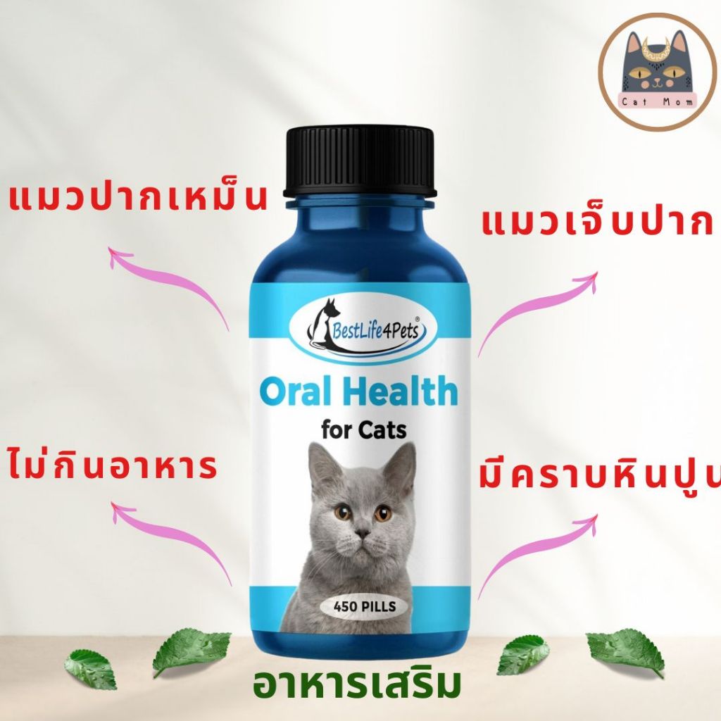 พร้อมส่ง Oral Health Cat อาหารเสริมดูแลช่องปากสำหรับแมว แมวเจ็บปาก ปากเหม็น