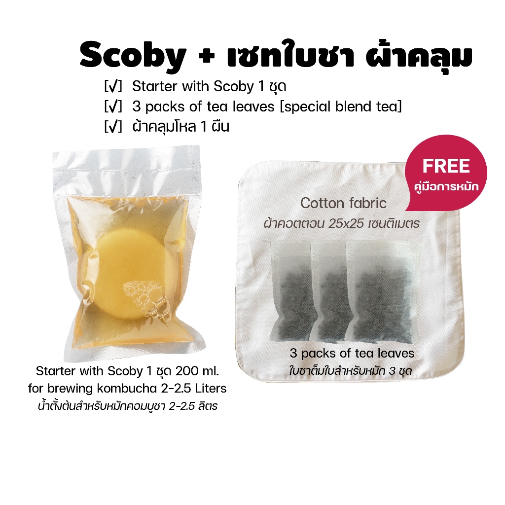 Kombucha Scoby ชุดหมักคอมบูชา 2 ลิตร พร้อม ใบชาออร์แกนิค แถมผ้าคลุมโหล