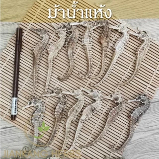 ม้าน้ำแห้ง dried seahorse 海马 สมุนไพรจีน สำหรับ ดอง ตุ๋น ต้ม บดผง อาหารทะเล ม้าน้ำตากแห้ง
