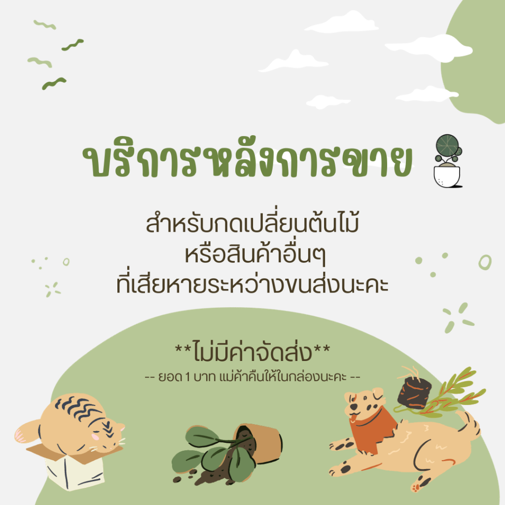 1 ลูกค้าเก่า บริการหลังการขาย สำหรับสินค้าที่เสียหายค่ะ สินค้าตกหล่นสำหรับลูกค้าเก่า