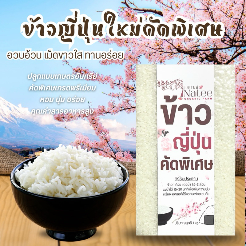 ข้าวญี่ปุ่นพันธุ์ซาซานิชิกิน 1 kg. (สั่ง3-5โลถูกกว่า) คัดพิเศษ เม็ดอวบอ้วนขาวใส ข้าวใหม่ หอม นุ่มหนึบ สไตล์ญี่ปุ่น