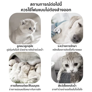 Petcho โฟมอาบน้ำแห้งสัตว์เลี้ยง แชมพูแมว แชมพูสุนัข โฟมอาบน้ำแห้ง​ กระต่าย​ กลิ่นหอม สะอาด ดับกลิ่น 200mlขนาดการเดินทาง