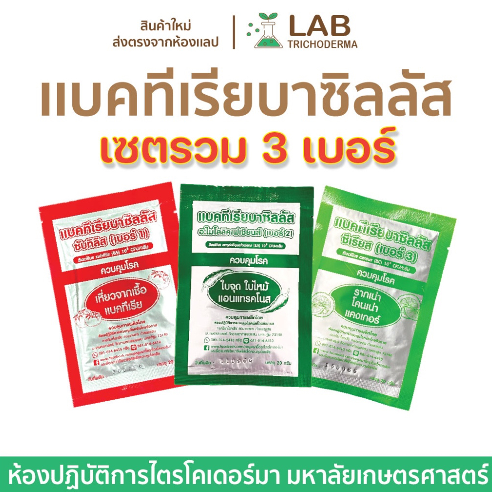 【 เซตรวม3เบอร์ 】เเบคทีเรียบาซิลลัส เบอร์1,2,3 ม.เกษตร(ผลิตใหม่)
