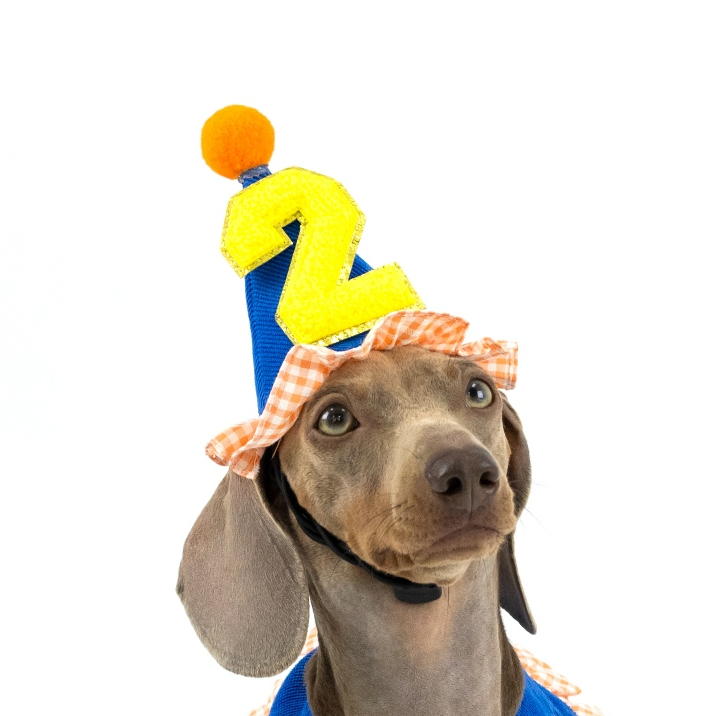 CLAWSET قبعة عيد ميلاد للحيوانات Birthday Baby — صورة 4