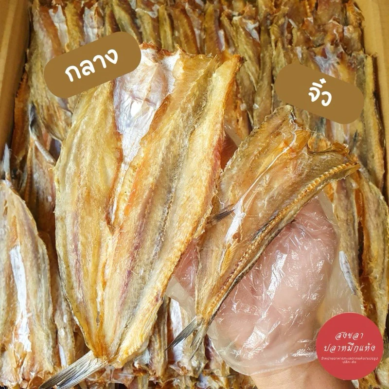 ปลาแห้ง ปลาช่อนทะเลแห้ง ไซส์กลาง/จิ๋ว ปลาจิ๊กโก๋ ไม่เค็มมาก ทำสดใหม่