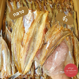 ปลาแห้ง ปลาช่อนทะเลแห้ง ปลาจิ๊กโก๋ ไม่เค็มมาก ทำสดใหม่