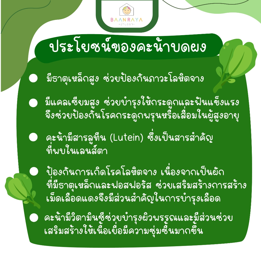บ้านรยา (6m+) คะน้าบดผง 10 กรัม ตราบ้านรยา อาหารเด็ก อาหารสำหรับเด็ก