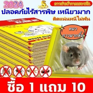 【10pcs】กาวดักหนู แผ่นกาวดักหนูสำเร็จรูป พร้อมถาด ที่ดักหนู ไม่มีกลิ่น หนูตายอยู่กับที่ ไม่ต้องหาซาก