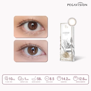 PEGAVISION คอนแทคเลนส์สี รายวัน รุ่น KAORI สี Laurel Brown (10 เลนส์/กล่อง)