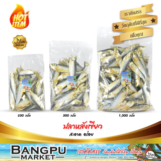 ปลาหลังเขียวแห้ง ถอดเกล็ด ปลากุแลตากแห้ง ปลาแดดเดียว ไร้เกล็ด (ตากแห้ง) ขนาดปานกลาง (ปลาหลังเขียวเค็ม ปลาเค็มไม่มีเกร็ด