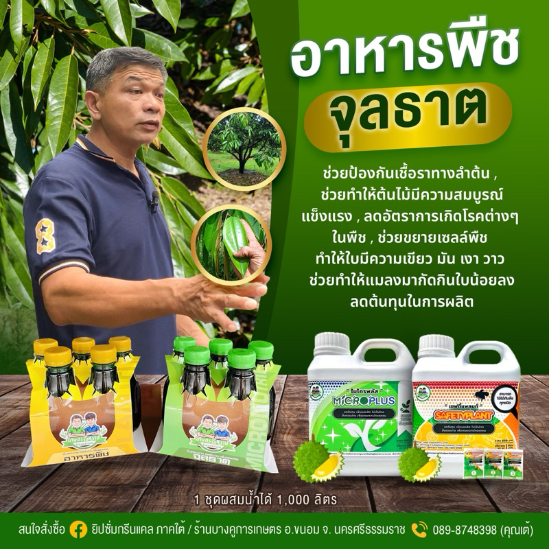 อาหารพืชและจุลธาตุ สูตรคุณโรจน์ ใส่ทุเรียน ต้นสมบูรณ์ ใบเขียว ใหญ่ มัมแวว ลดต้นทุนการผลิต เกษตรรับทราบ พร้อมส่ง