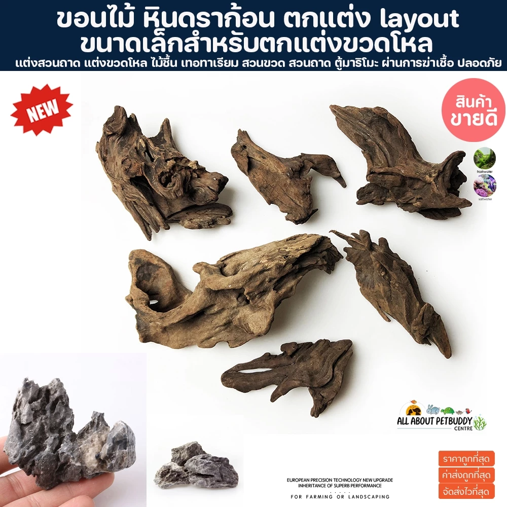 ขอนไม้ ตกแต่งสวนขวด หิน หินดราก้อน หินขนาดเล็ก layout นำเข้าจากต่างประเทศ หิน ธรรมชาติ ไม้จริง ปลา สวน ต้นไม้ ไม้ชื้น