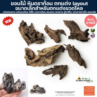 ขอนไม้ ตกแต่งสวนขวด หิน หินดราก้อน หินขนาดเล็ก layout นำเข้าจากต่างประเทศ หิน ธรรมชาติ ไม้จริง ปลา สวน ต้นไม้ ไม้ชื้น