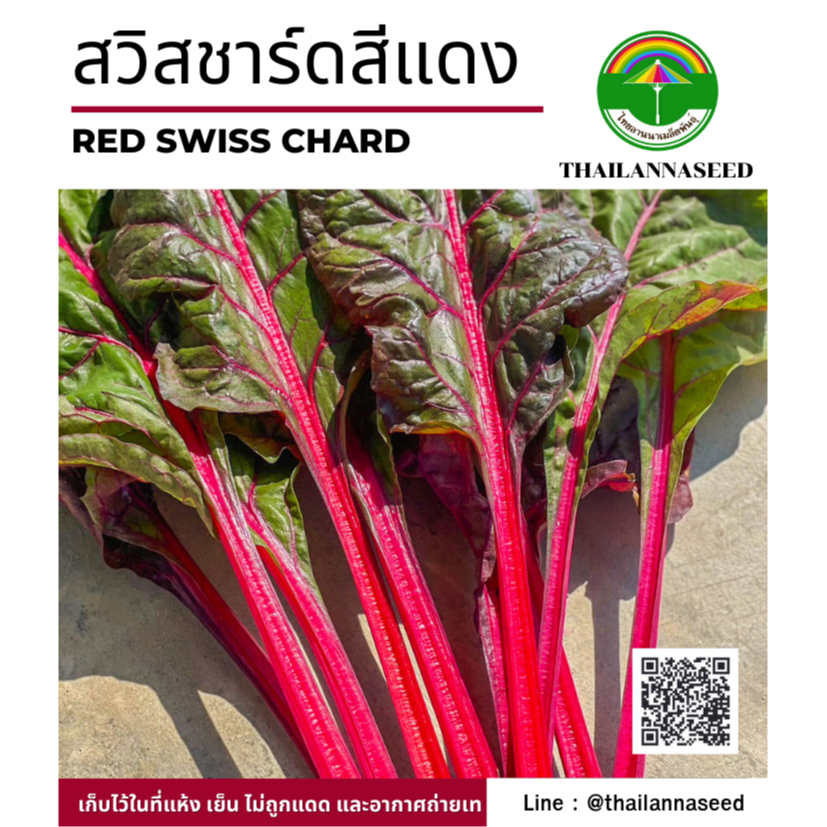 เมล็ดพันธุ์ผักสวนครัว สวิสชาร์ดสีแดง ( ขนาด 0.5 กรัม ) รหัสสินค้า 6005