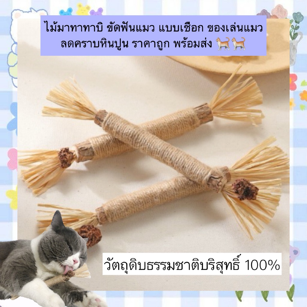 MG-522 ไม้มาทาทาบิ แบบเชือก ขัดฟันแมว | Catnip + Matatabi ของเล่นแมว ลดคราบหินปูน พร้อมส่ง! 🐱