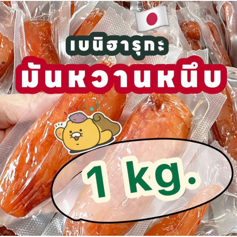 มันหวานหนึบ 1 กิโล เบนิฮารุกะ แท้ ไม่ผสมแป้ง ไม่มีน้ำตาล
