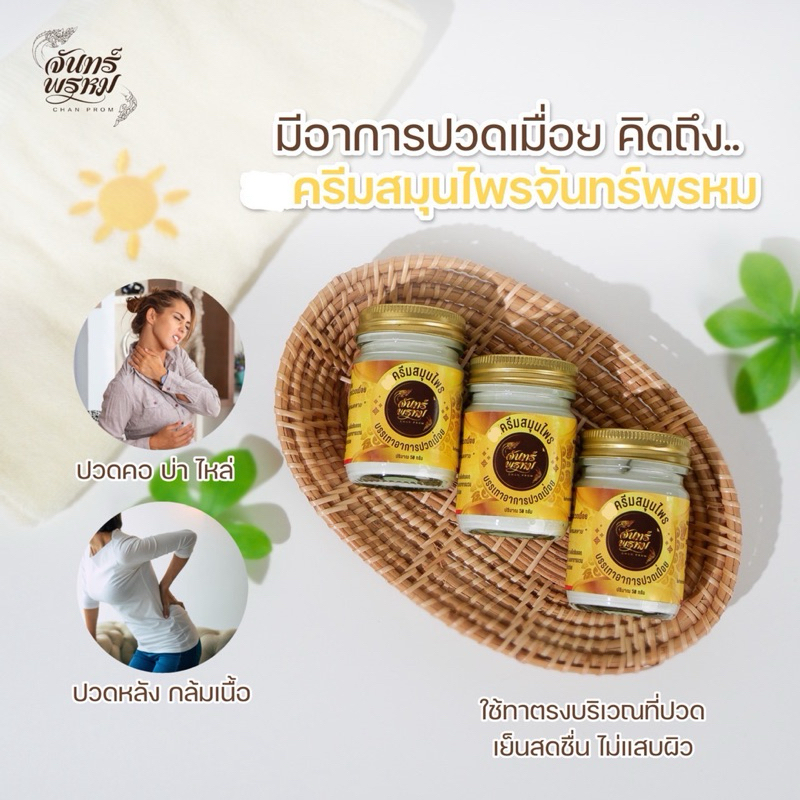 ครีมสมุนไพร จันทร์พรหม บรรเทาอาการปวดเมื่อย - รูปที่ 3