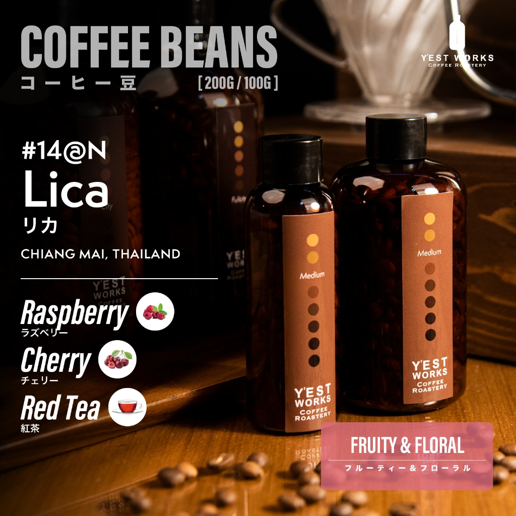 เมล็ดกาแฟคั่ว #14-@N Lica เชียงใหม่ By Y'EST WORKS [Coffee beans 200g/100g]