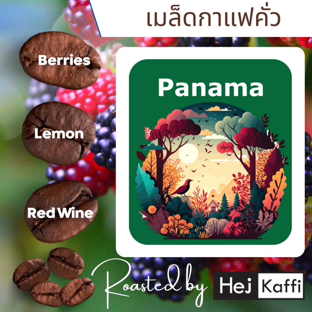 เมล็ดกาแฟคั่วใหม่ Panama Black Winey ปานามา แบล็ก ไวน์นี เลือกระดับคั่วได้ คั่วใหม่ทุกถุง 100 g Coffee roasted bean