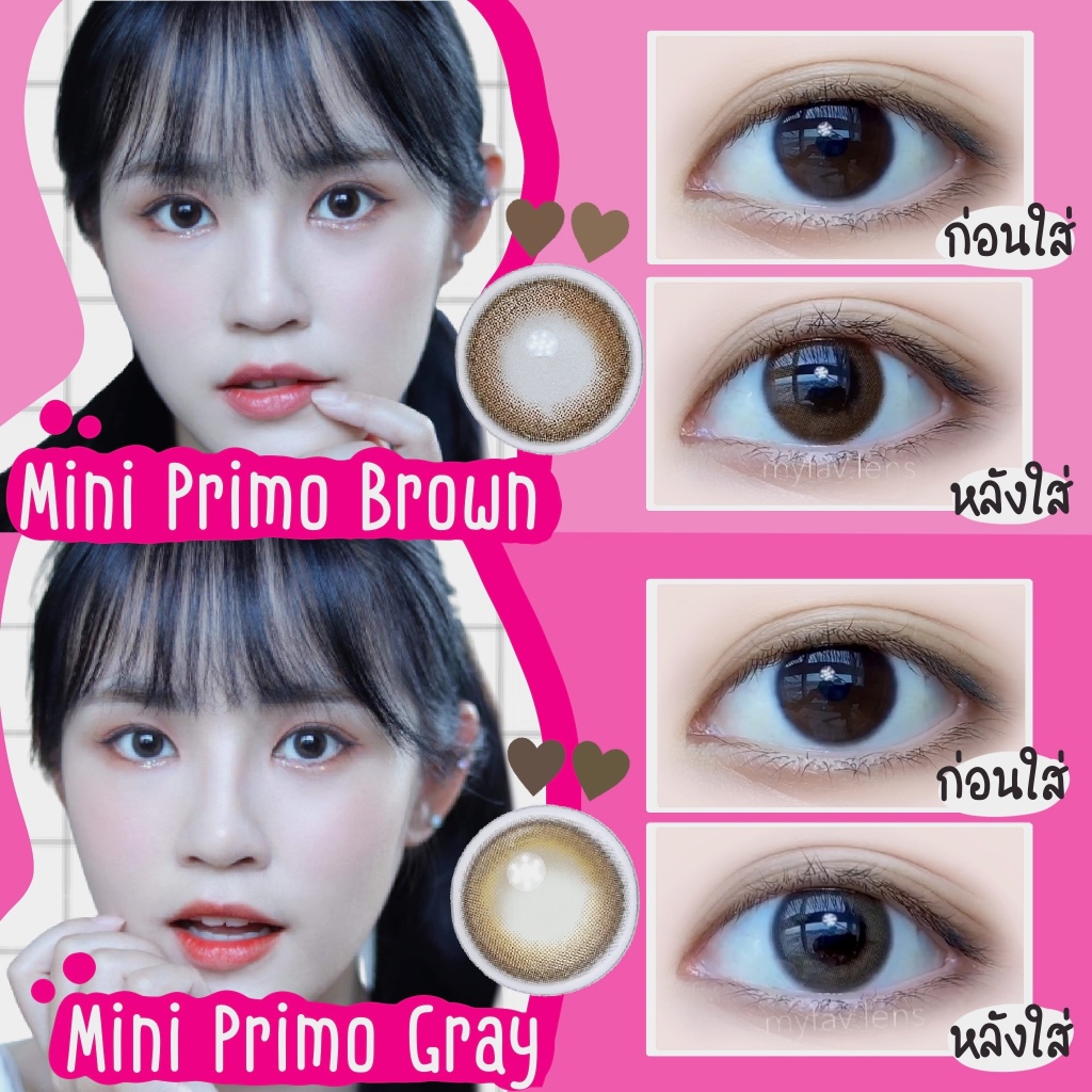 Mini Primo Brown &amp; Gray Kitty Kawaii Contact Lens คอนแทคเลนส์ สีนำ้ตาล สีเทา คิตตี้คาวาอิ สายตาปกตี สายตาสั้น 0.0  -8.00