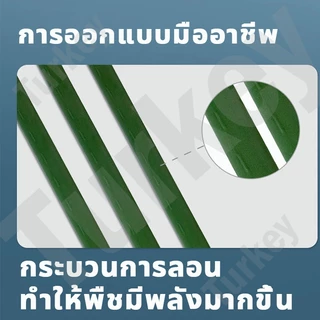 ไม้ค้ำต้นไม้ เสาค้ำต้นไม้ หลักไม้เลื้อย เสาไม้เลื้อย ไม้ค้ำยันต้นไม้ ยาว60.90.120.150.180ซม.หนา8.11.16.20มม. ท่อเหล็กPE