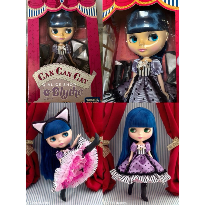 (พร้อมส่ง มือหนึ่งค่ะ✨)ตำหนิหน้าเหลืองกล่องซีด) ตุ๊กตา Neo Blythe ) Blythe Can Can Cat