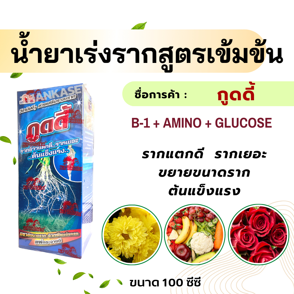 น้ำยาเร่งราก เร่งรากพืช ใช้ได้กับพืชทุกชนิด สูตรเข้มข้นพิเศษ ขนาด 100 ซีซี for roots
